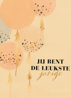 verjaardag kaart stijlvol jij bent de leukste jarige