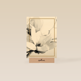 meerdere witte bloemen met goud randje