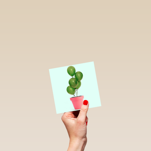 plant met ballonnen