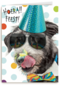 hoera feest hond met zonnebril