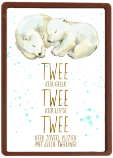 2 keer geluk 2 keer liefde 2 keer plezier met jullie tweeling