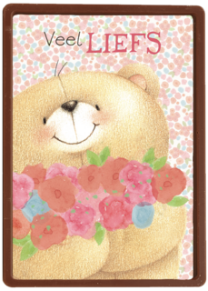 moederdag lief veel liefs forever friends beer