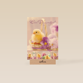 Kuiken in mandje met viooltje lieve paasgroetjes