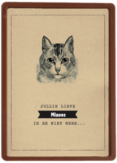 condoleance huisdier jullie lieve kat is er niet meer