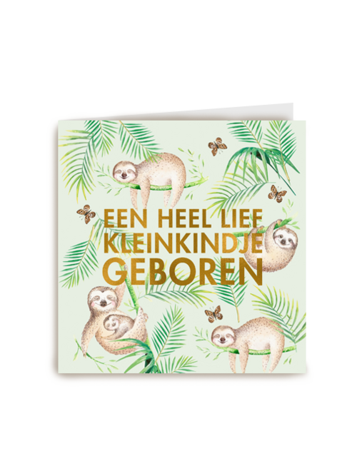 een heel lief kleinkindje geboren
