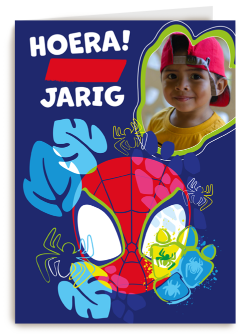 Spidey and friends Verjaardagskaart