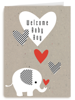 elephant welcome baby boy