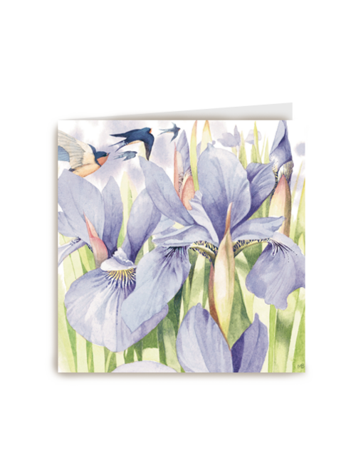 marjolein bastin blanco paars blauw bloemen