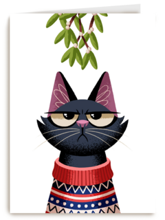 grumpy kat under the mistletoe