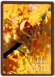 herfst kaart dikke herfst knuffel