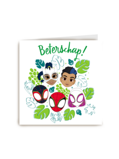 Spidey and friends Beterschap