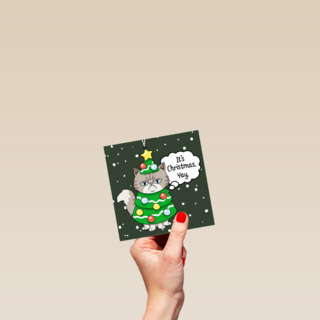 It's Christmas, Yay! Cat