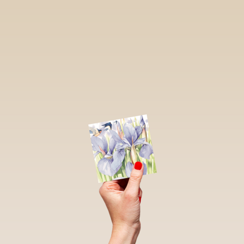 marjolein bastin blanco paars blauw bloemen