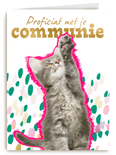 Proficiat met je communie kat