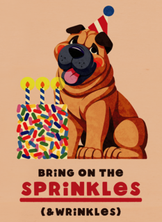 Verjaardag Sprinkles And Wrinkles