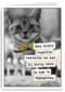 Vogel Poes  verjaardag