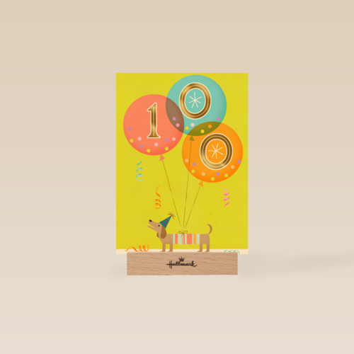 Ballonnen 100 jaar
