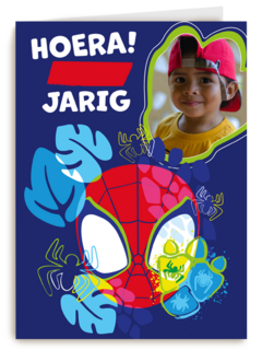 Spidey and friends Verjaardagskaart