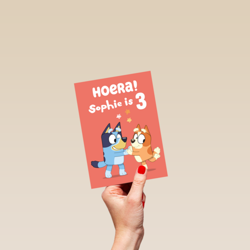 Bluey Bingo Oranje Jarig