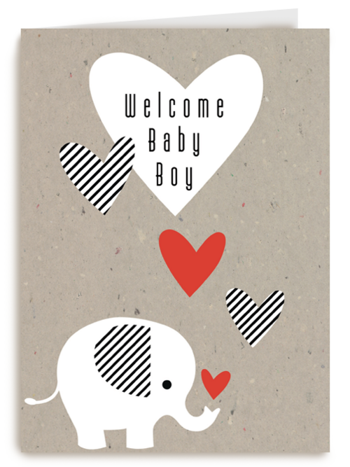 elephant welcome baby boy