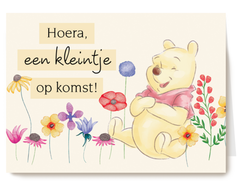 Winnie de Poeh kleintje op komst