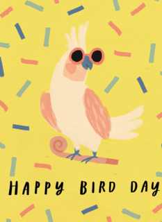 Verjaardagskaart man vrouw hip Happy Bird Day
