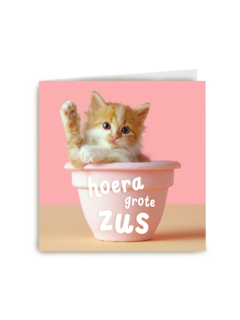 Geboorte felicitatie zusje