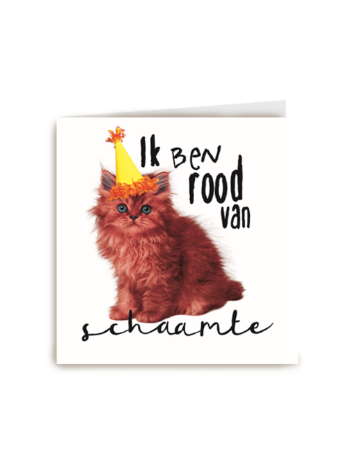verjaardag te laat schaamte
