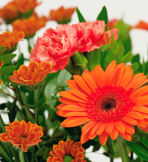 Boeket Bloemen Emmanuel met Cote dOr Bouchee