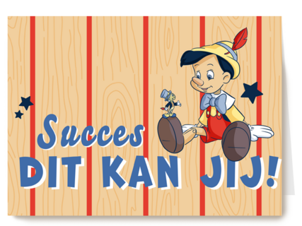 Pinocchio succes kaart dit kan jij