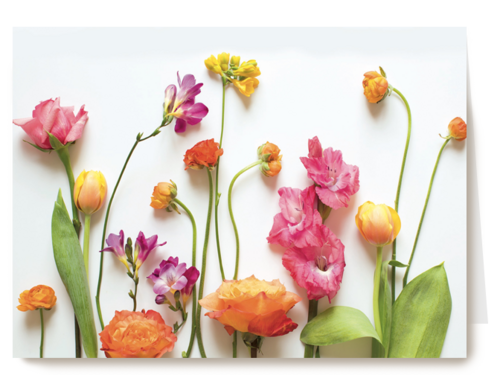 summervibes kaart blanco met vrolijke bloemen erop