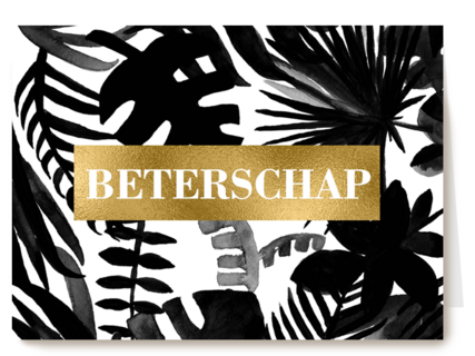 Beterschapskaart zwart wit planten