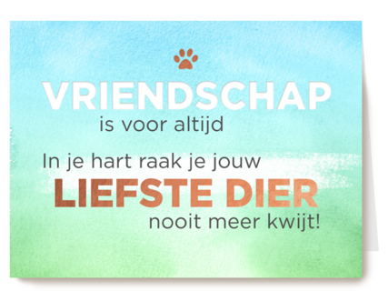 in je hart raak je je liefste dier nooit meer kwijt