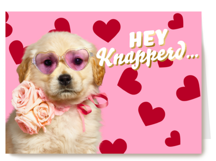 Hey knapperd