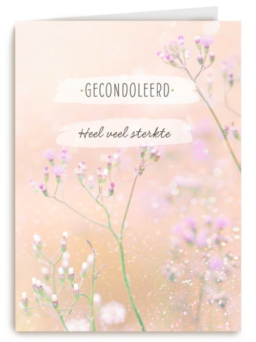 Gecondoleerd Heel veel sterkte
