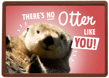 theres no otter like you