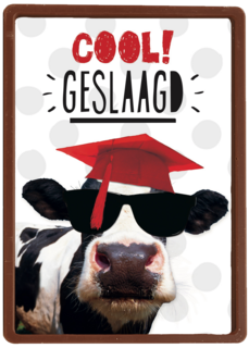 examen cool geslaagd koe