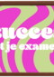 Swirl Succes Examens