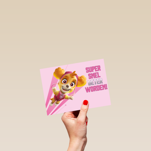 Paw Patrol beterschapskaart meisje