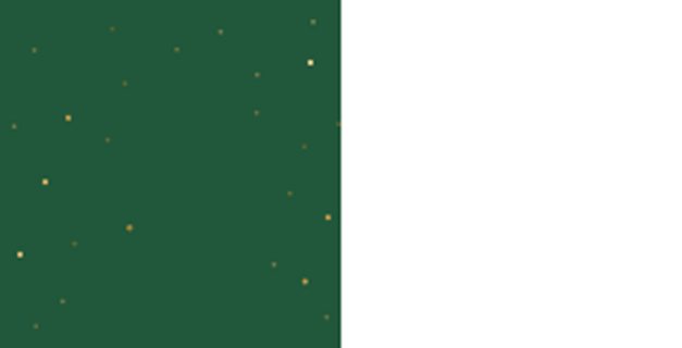 Merry Christmas Pluto