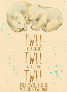 2 keer geluk 2 keer liefde 2 keer plezier met jullie tweeling