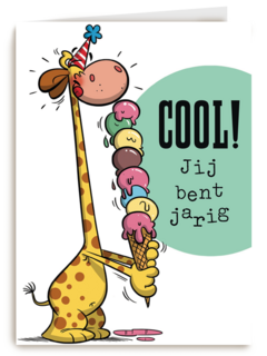 funny mail cool jij bent jarig