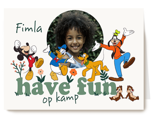 Mickey Friends Have Fun Kamp