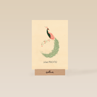 Complimentkaart je bent prachtig