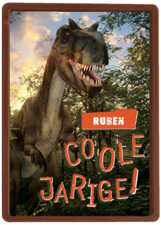 dino coole verjaardag