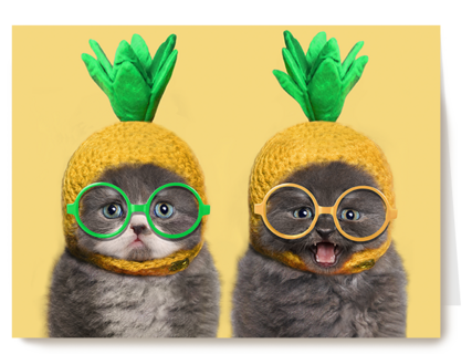 Chromazone kittens bril