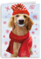 Big smile dog christmas