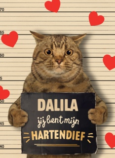 valentijn kaart kat grappig jij bent mijn hartendief