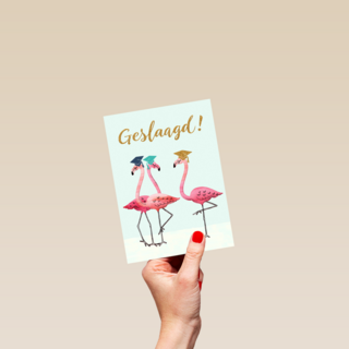 Flamingo geslaagd
