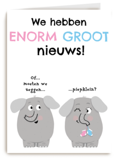 zwangerschap we hebben enorm groot nieuws